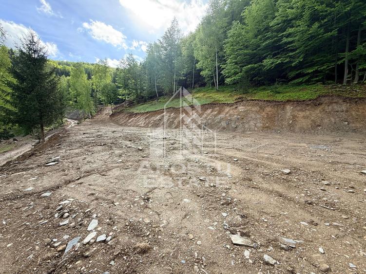 Oportunitate! Domeniu montan, cu lac propriu, oras Lupeni, Hunedoara - 21