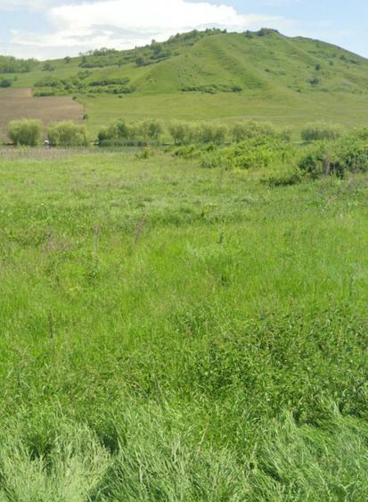 Teren extravilan de vânzare – Brăteni acces la Lac