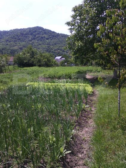 Casă batraneasca cu teren 12 ari – zonă centrală, Năsăud - 5