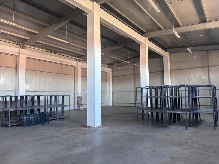 Hală + Clădire Birouri | 2000mp teren | Acces TIR | Zonă Logistică Est Craiova