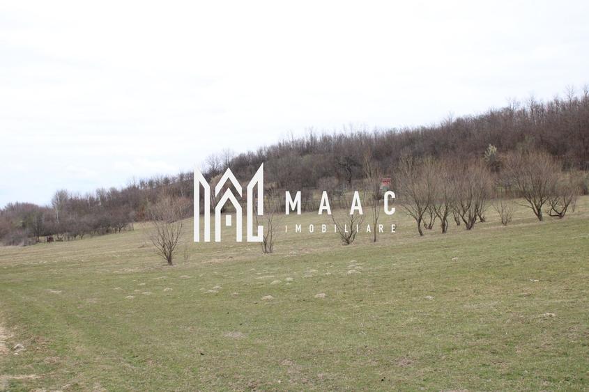 Teren Sebesul de Sus I 1100 mp I facilitati in apropiere