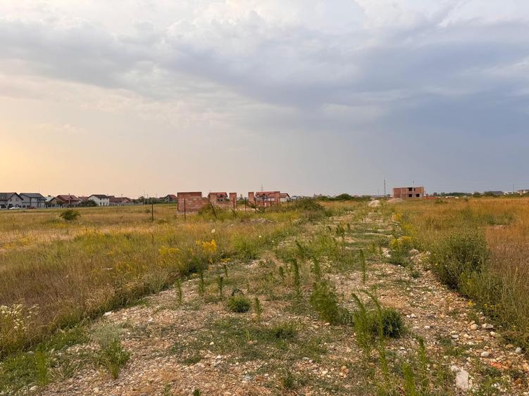 PARCELE DE VÂNZARE – MOȘNIȚA NOUĂ (în spatele Castelului)-Timisoara