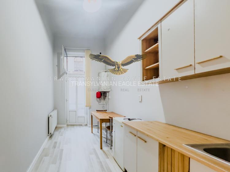 Apartament/Spatiu de birou situat pe strada Horea|ultracentrala - 6