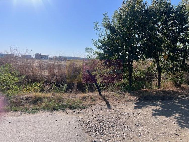 Teren Cornetu Strada Magnoliei- Pinului.