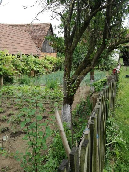 Casa off-grid 5 camere Sangatin judetul Sibiu - 8