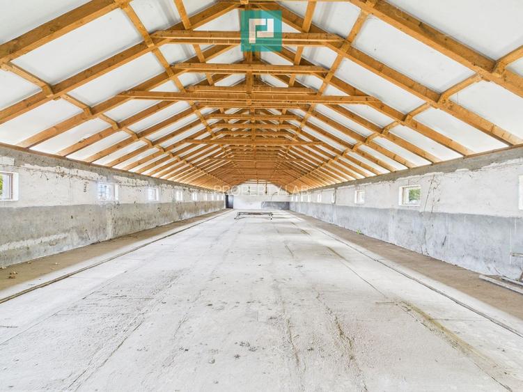 Hală pentru producție / fermă zootehnică  - Variaș - 12