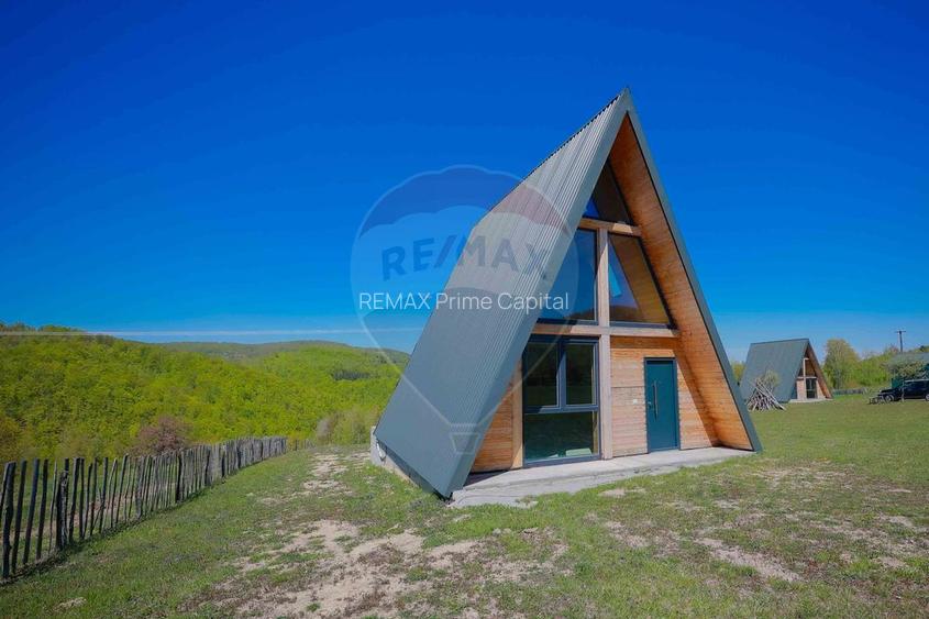 Case A frame cu teren 30200 mp, de vânzare, Bulz, Munteni, Prelucele - 37