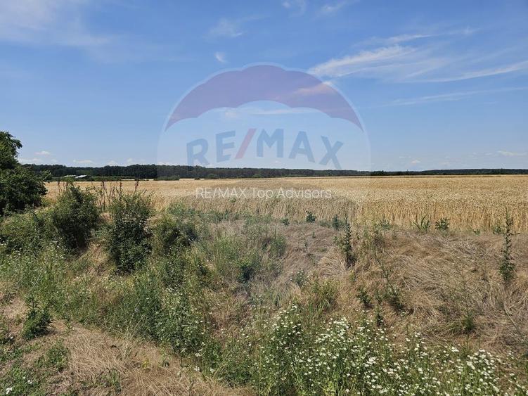 Vanzare Teren Intravilan Buftea, 750mp, str. Ulmului, Pista Biciclete - 3