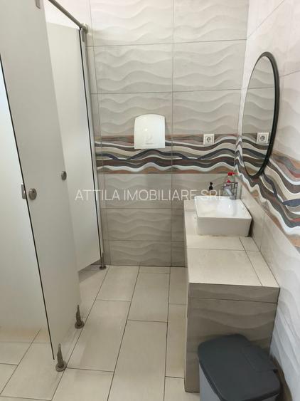 Lipovei birou 93 mp 900 euro+TVA