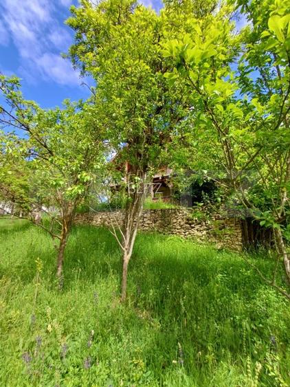 Casa 3 camere si teren 4873 mp  în Pietroasa, Moldovenești - 2