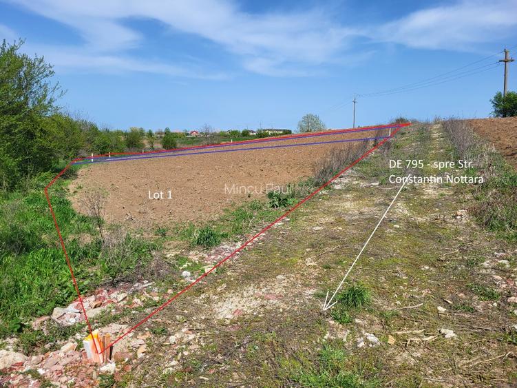 Intravilan vedere la lacul Snagov zona de vile noi - 6