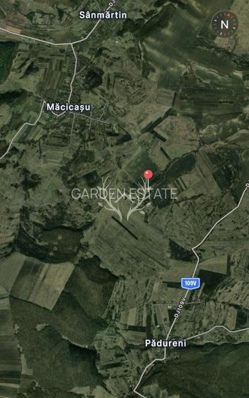 Teren intravilan de vanzare | 2.900 mp | Macicasu, com. Chinteni | La - 3