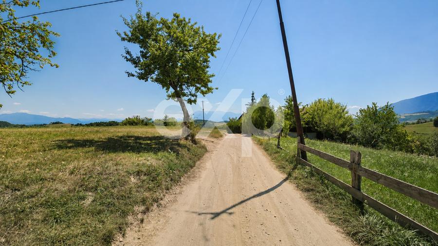 8.544 mp în Poiana Mărului | Teren cu potențial, la doar 1 km de asfalt
