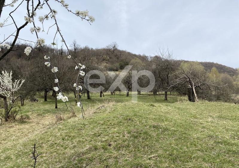 Oportunitate investiție în Corbi, Argeș | 22.000 mp teren în zonă de poveste