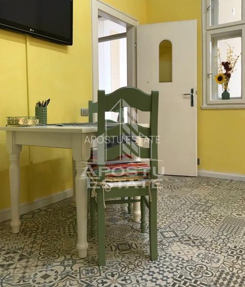 Apartament ultracentral, complet renovat in Timisoara - 11