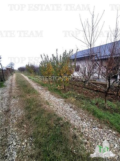 Teren Intravilan Moara Vlasiei 963 mp, Zona Superba, - 4