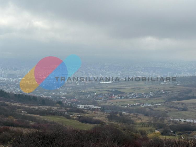 Teren extravilan 1000 mp, Valea Fanațelor