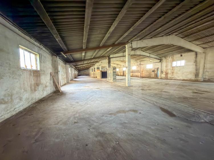 Complex Industrial (2 Hale + Birouri) pe 7.000 mp teren, Gheghie, jud. Bihor