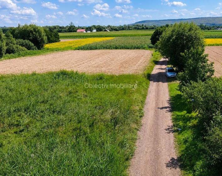Teren 9.330 mp – Topolița, Grumăzești – acces la două drumuri – 10 €/mp