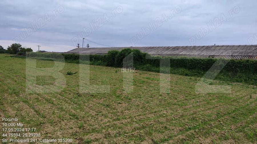 Teren intravilan/extravilan, 1 hectar, zona Gura Foii - 2