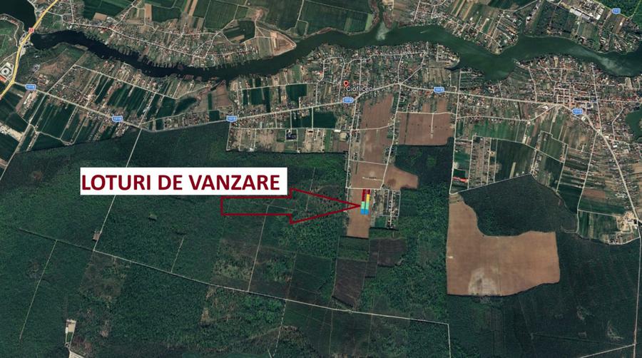 The Forest Collection - lot 500 mp | Padurea Snagov - Ciofliceni - COMISION 0%