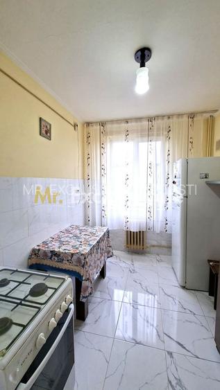 Inchiriere apartament 2 camere Craiovei mobilat si utilat - 3