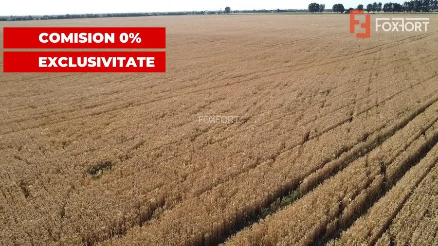 COMISION 0% Teren de vanzare intravilan de 24.700 mp - Padureni - 10