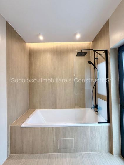 PROIECT DEOSEBIT ZONA LIPOVEI - 16