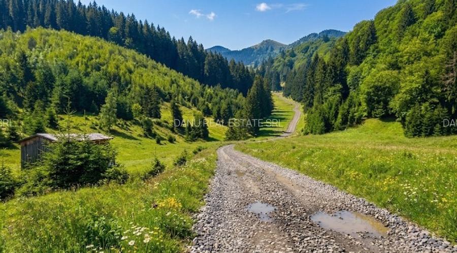 Oportunitate Investiție–Teren Intravilan 2.763 mp, Poiana Brașov Str. Stânii - 6