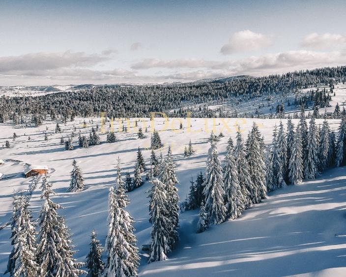 Teren extravilan, 3.4 hectare, priveliste, padure, utilitati, in Marisel