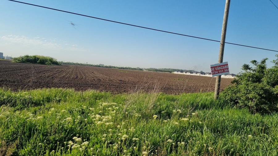 Teren 10.000 mp Clinceni – Deschidere la drum principal | Zonă mixtă