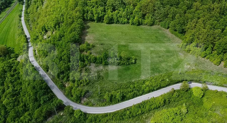 Teren superb, în mijlocul naturii, 18.360 mp, la Cărjiți - 4