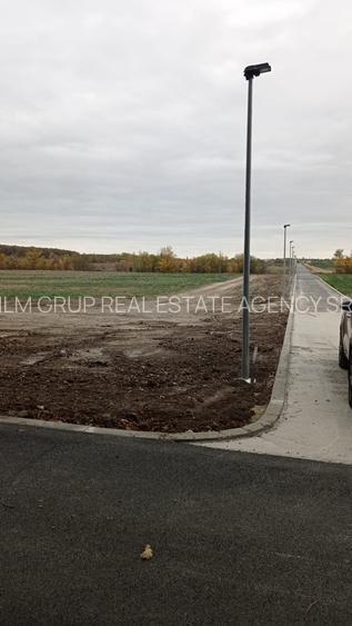 PROPRIETAR-TEREN 570 mp - Calul Balan/LAC/ PADURE/Buftea(loturi) - 4
