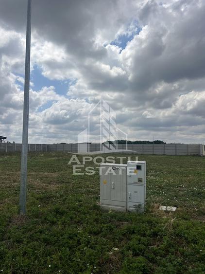 Teren Ghiroda cartier Bistra - toate utilitatile