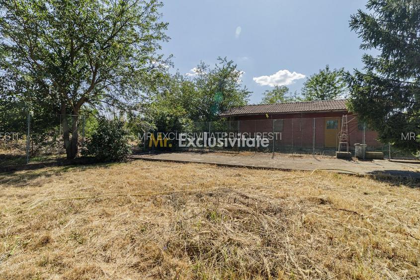 Domeniu privat 5.000 mp, cu reședință de 625 mp și piscină, Corbeanca - 42