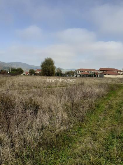 Vand teren i.v.  pentru constructii, zona Corunca, zona Sapientia - 2
