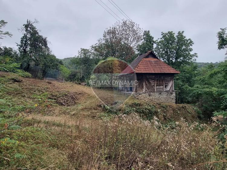 Casă 47mp + teren 760mp Halmagiu - Sat Brusturi - 2