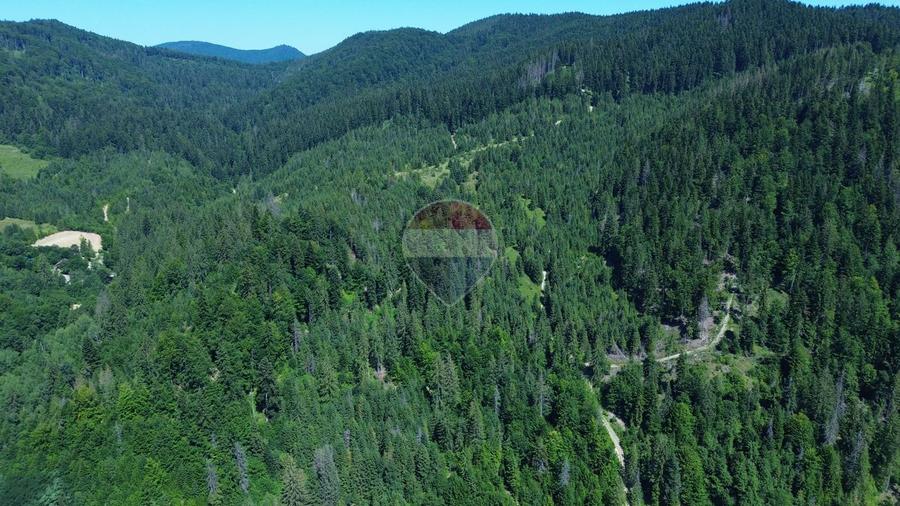 Teren 120.000 mp Sucevița – oportunitate de investiție în turism