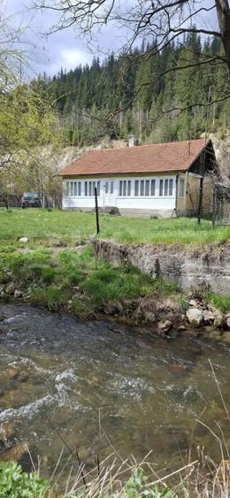 Casa de vanzare 100 mp, teren 3.500 mp, zona Pojorata
