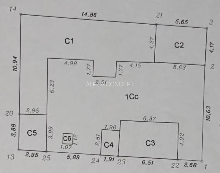 CASĂ RENOVATĂ ȘI MOBILATĂ | 300 MP - KM 4 - 13