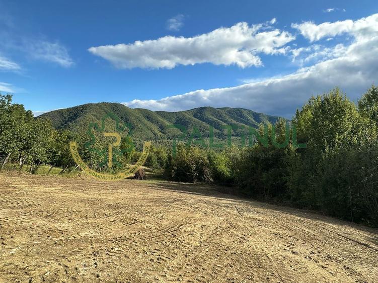Teren intravilan de vanzare 960 mp Cisnadioara, Sibiu