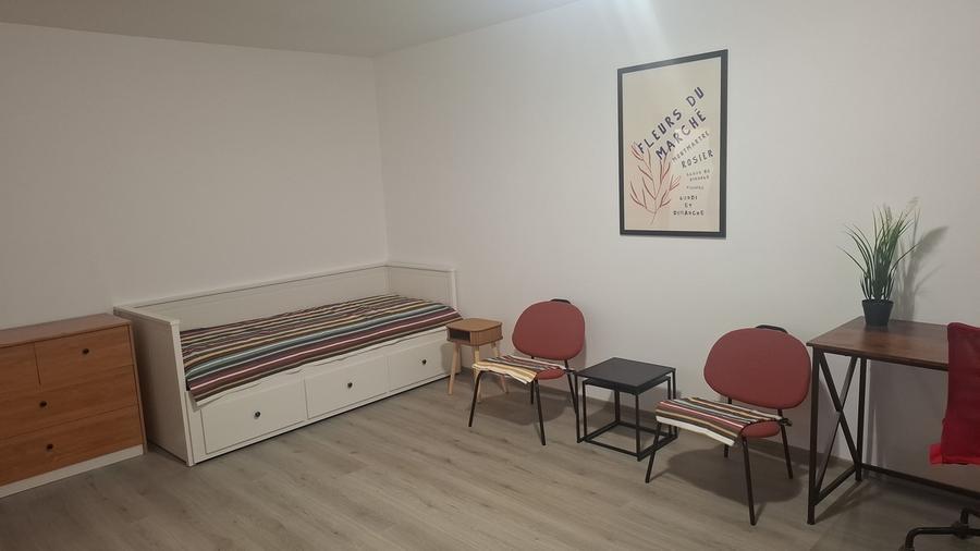 Garsoniera superba 10 min M Costin Georgian DB2411