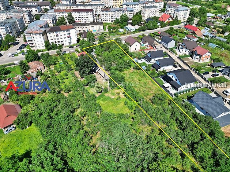 Teren pentru vile in centrul orasului Costesti, 3000 mp - 10