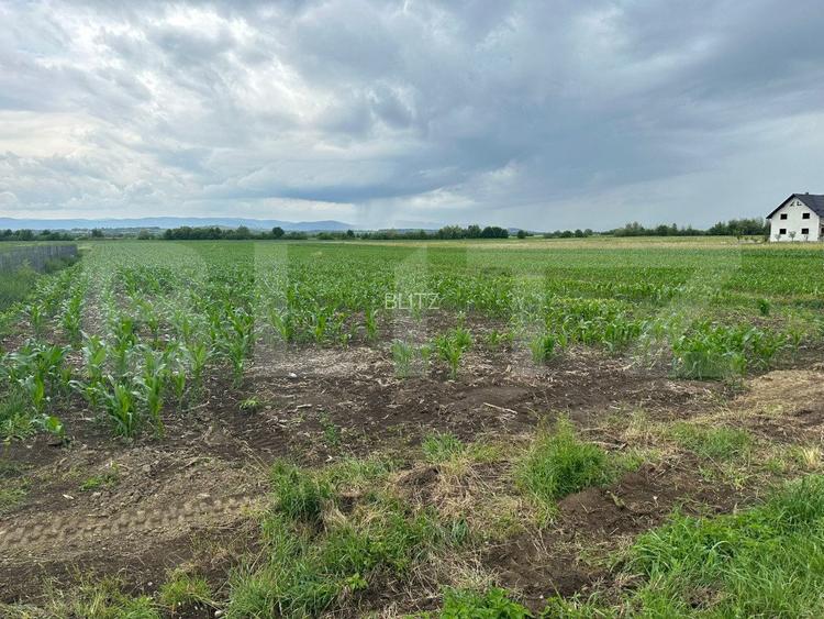 Teren intravilan ,4900 mp , 25ml front, Fratautii Vechi, Radauti - 4