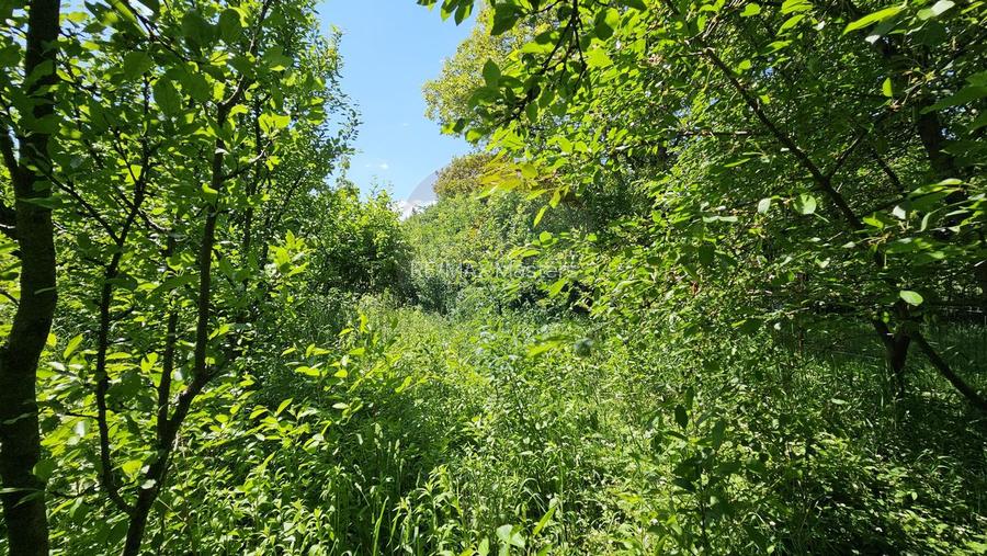 Casă / Vilă în zona Zamca, Suceava - 10