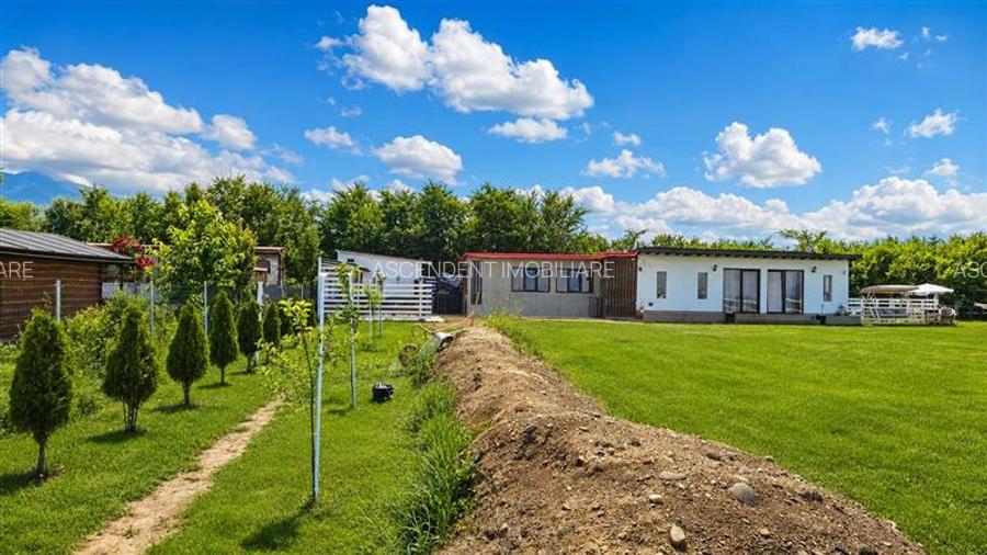Teren 1.640 mp cu cabana moderna, foisor, gratar, atmosfera de vacanta, Rasnov, - 12