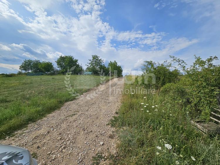 Teren de 1.113 mp | 135 euro/mp | Dambul Rotund | Zona str. Rubinului
