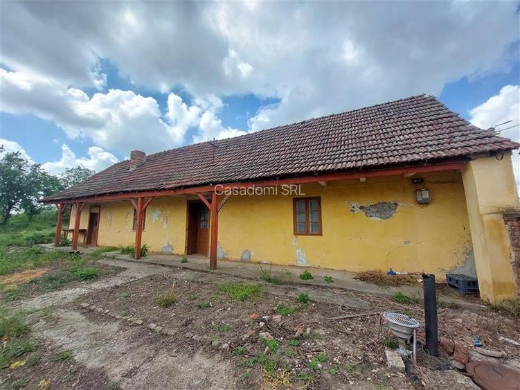 Casa veche cu teren mare in Vinga - 2