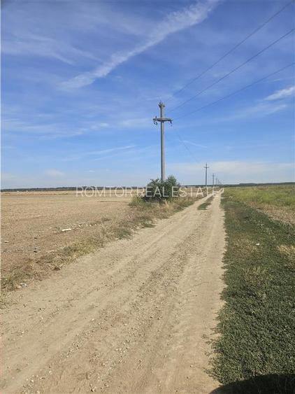 Oportunitate Investitie - Dragomiresti Vale - Zurbaua - A1 - A0 - sos Centura - 9
