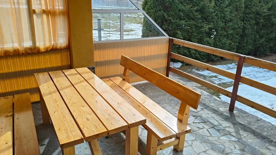 Casă spațioasă cu garaj și pivniță, terasa,gradina aproape de natură-Busteni